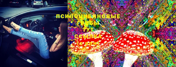 прущая мука Медвежьегорск