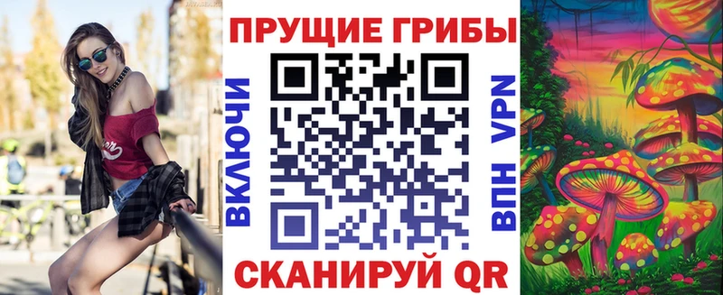 Псилоцибиновые грибы прущие грибы  Купить закладки  Островной 